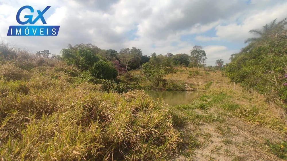Terreno, 4 hectares - Foto 2