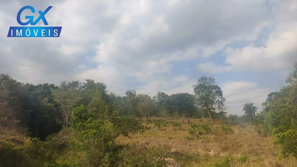 Terreno, 4 hectares - Foto 3