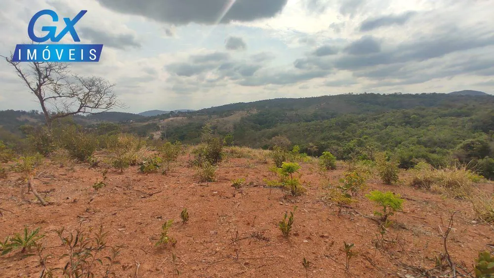 Terreno, 4 hectares - Foto 8