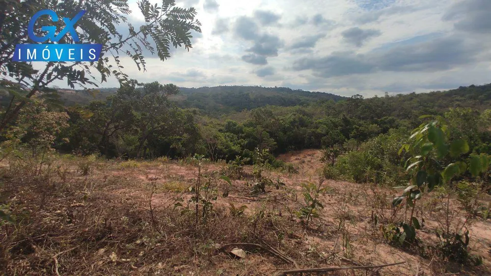 Terreno, 4 hectares - Foto 4