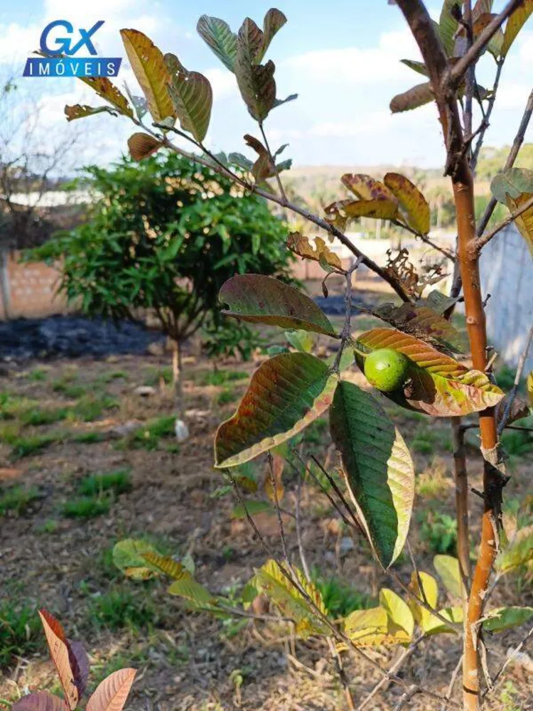 Terreno, 300 m² - Foto 13