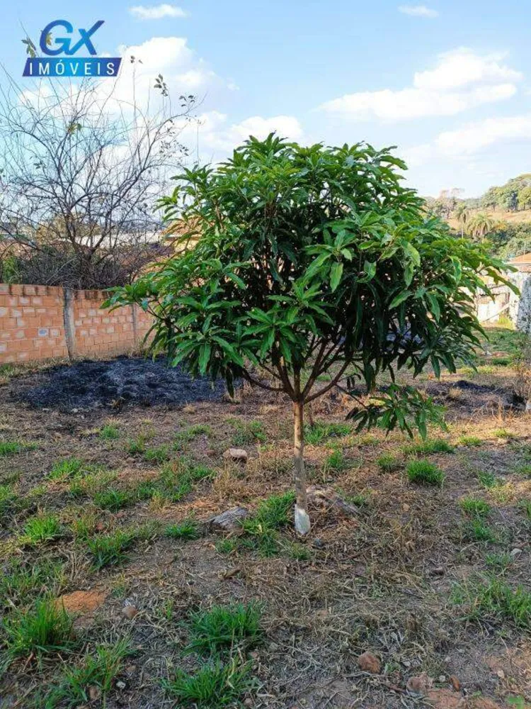 Terreno, 300 m² - Foto 12