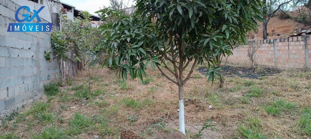 Terreno, 300 m² - Foto 6