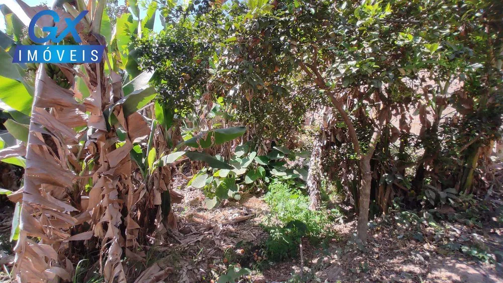 Terreno, 250 m² - Foto 8
