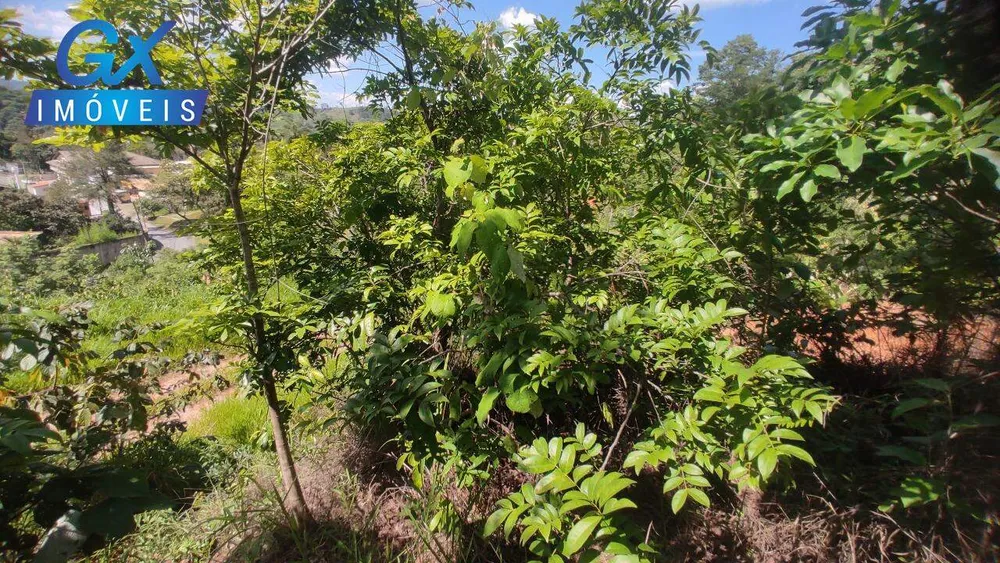Terreno, 1200 m² - Foto 12
