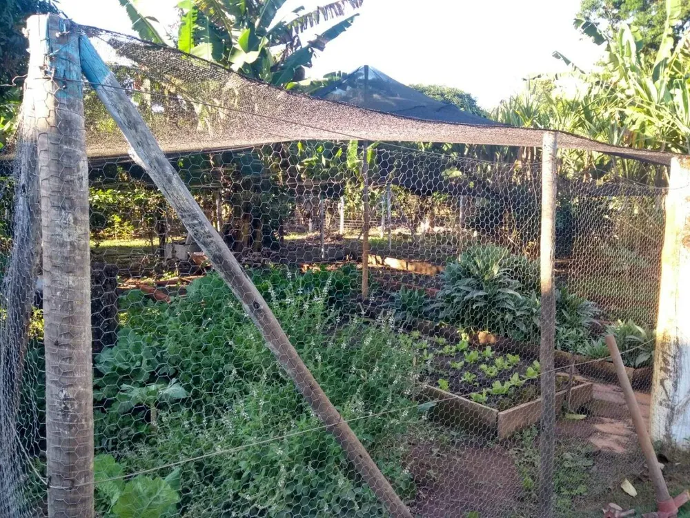 Chácara, 3 quartos, 5000 m² - Foto 5
