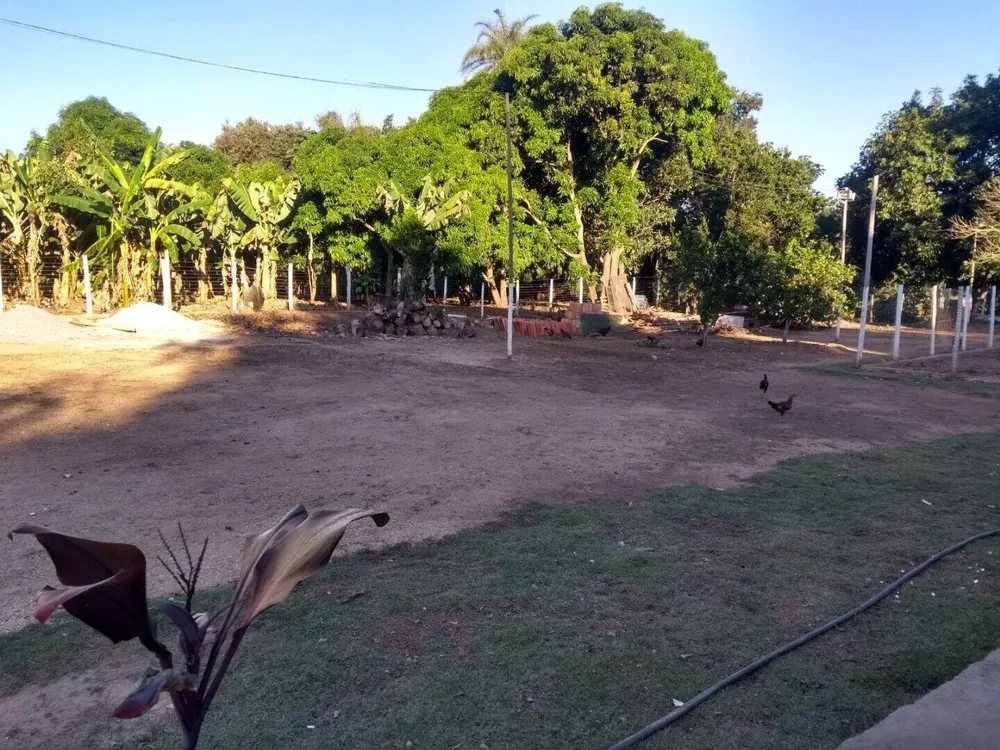 Chácara, 3 quartos, 5000 m² - Foto 11