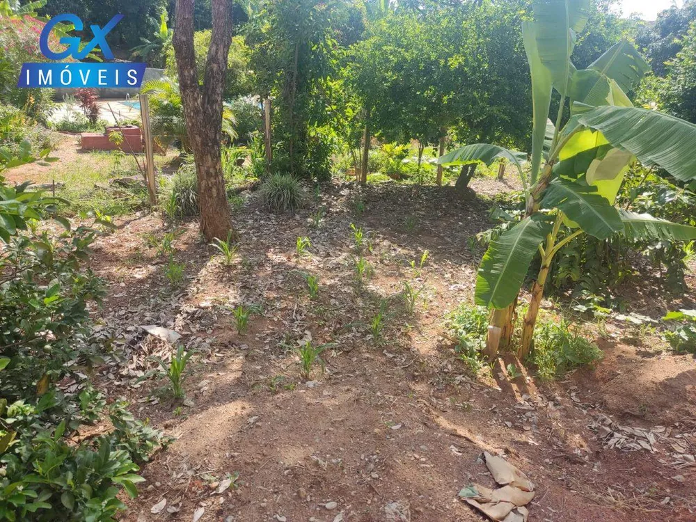 Chácara, 3 quartos, 1000 m² - Foto 3