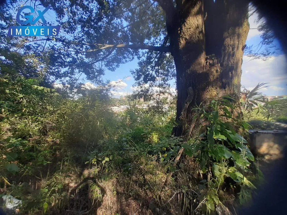 Terreno, 7000 m² - Foto 10