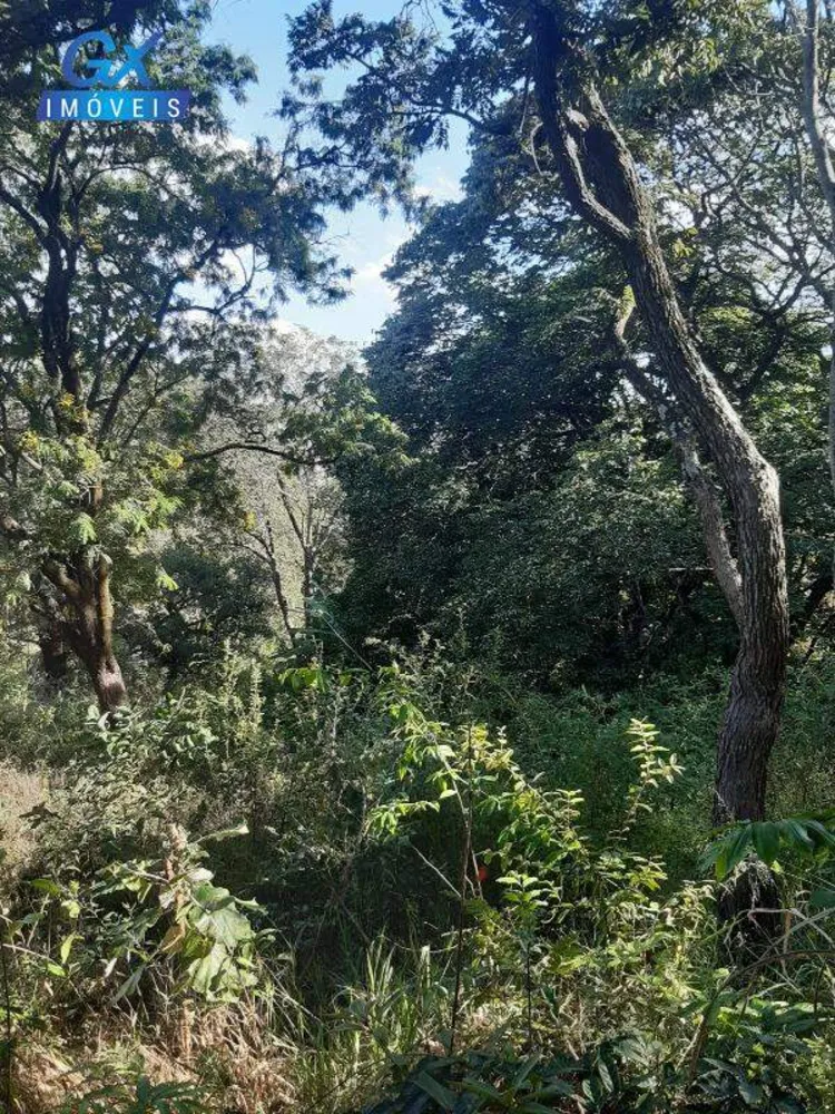 Terreno, 7000 m² - Foto 13