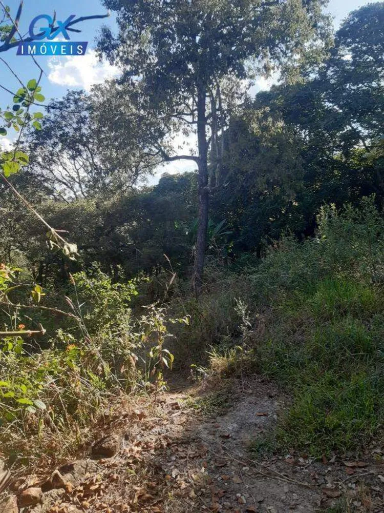 Terreno, 7000 m² - Foto 11