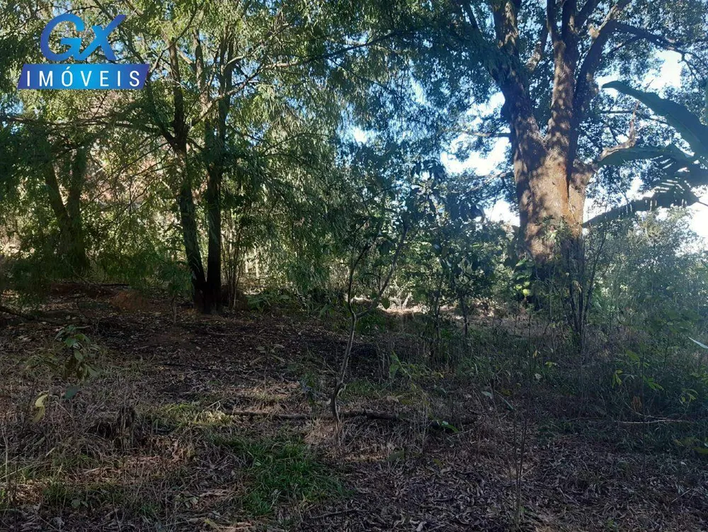 Terreno, 7000 m² - Foto 5