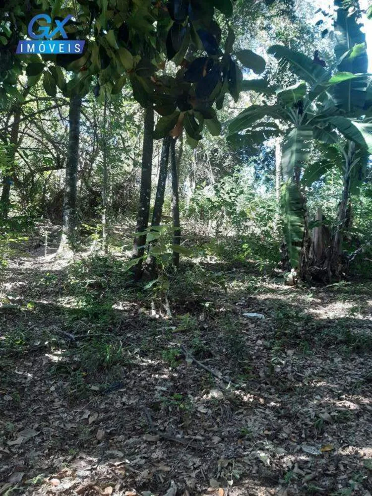 Terreno, 7000 m² - Foto 16