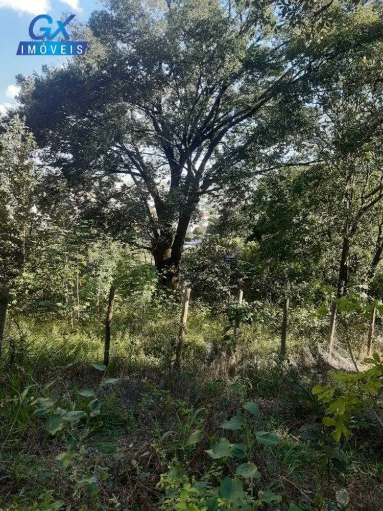 Terreno, 7000 m² - Foto 8