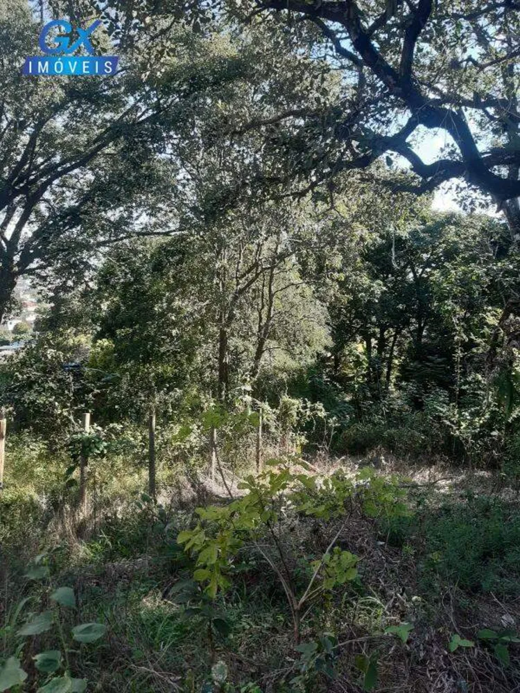 Terreno, 7000 m² - Foto 6