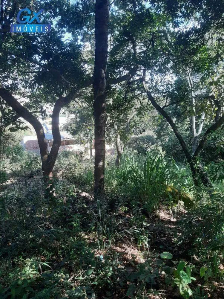 Terreno, 7000 m² - Foto 14