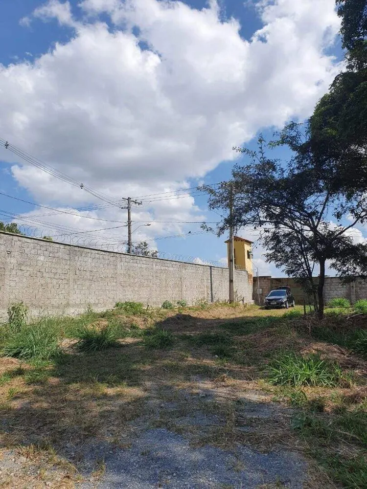 Terreno, 10000 m² - Foto 11