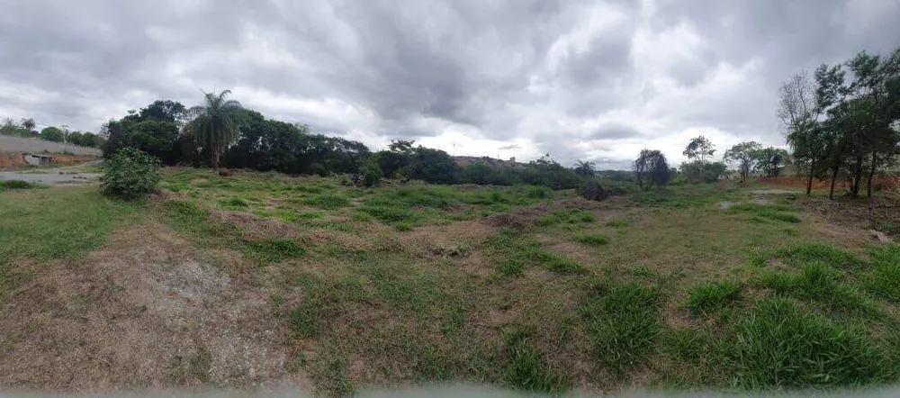 Terreno, 10000 m² - Foto 7