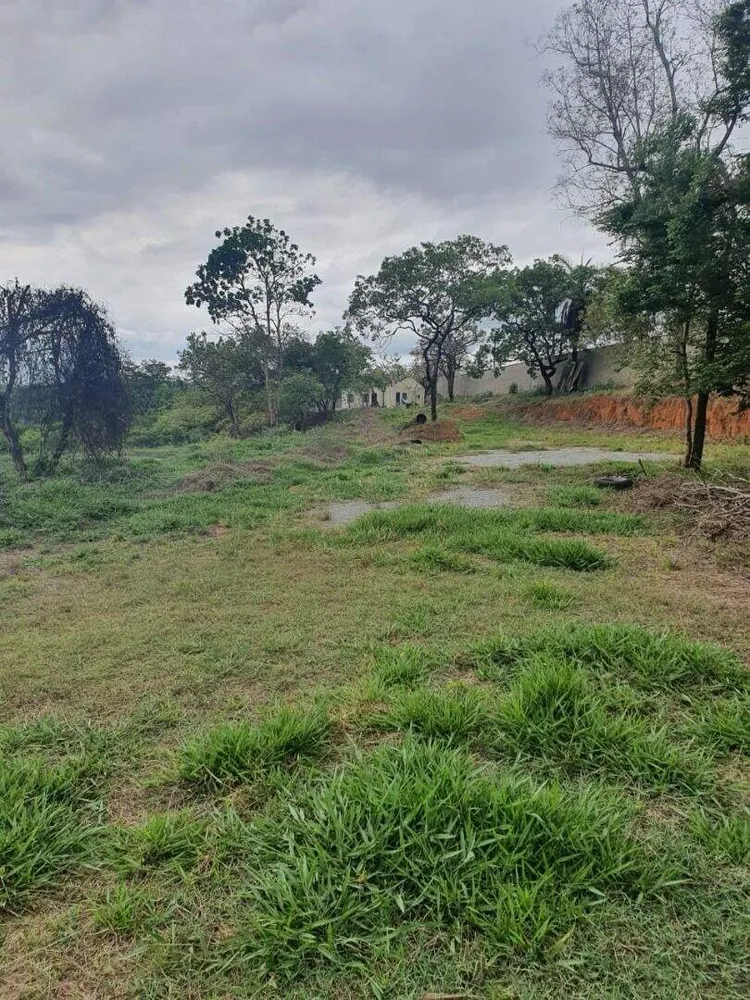 Terreno, 10000 m² - Foto 6