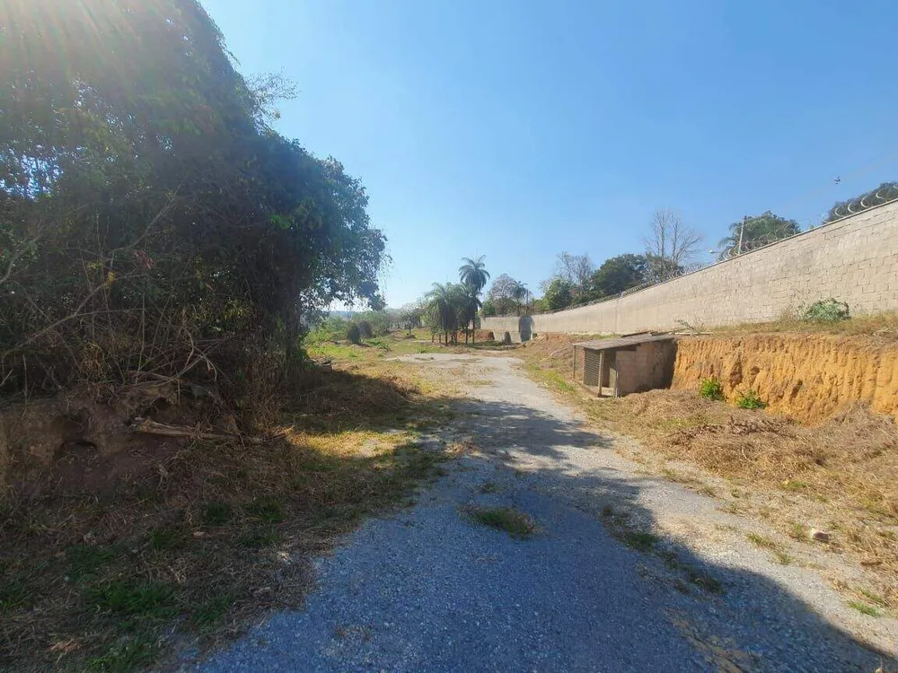 Terreno, 10000 m² - Foto 10