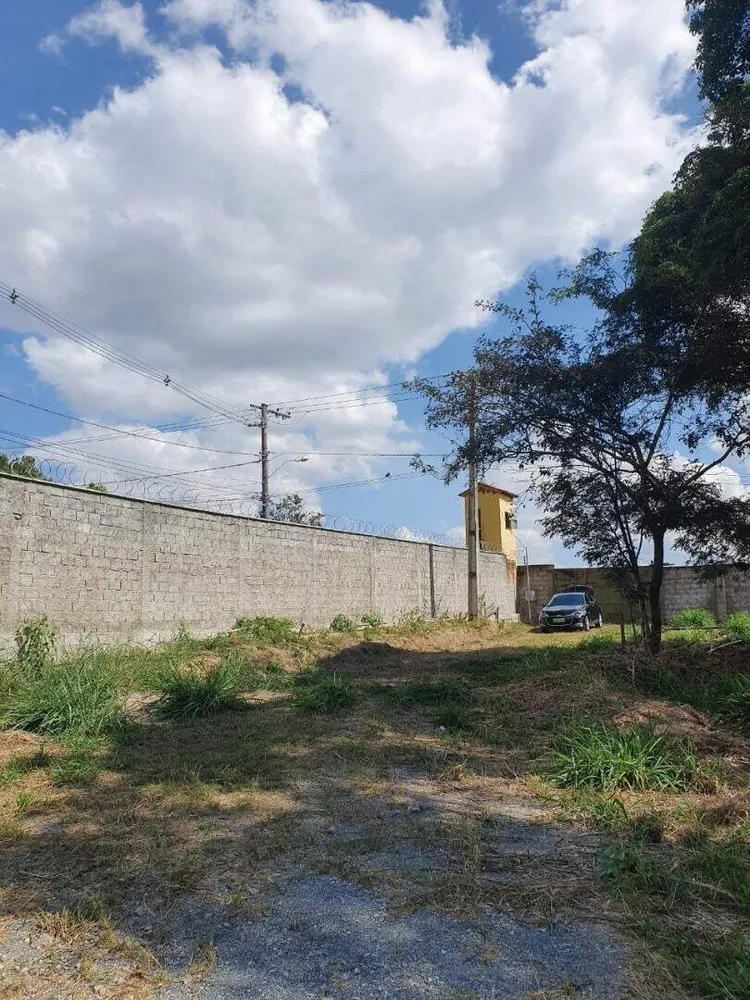 Terreno, 10000 m² - Foto 8