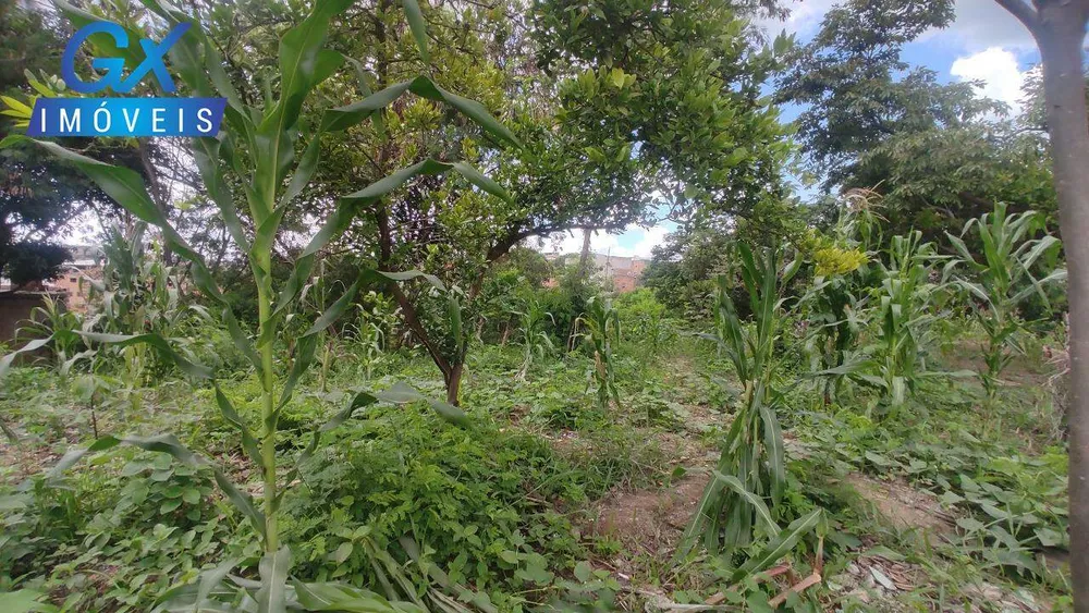 Terreno, 527 m² - Foto 9