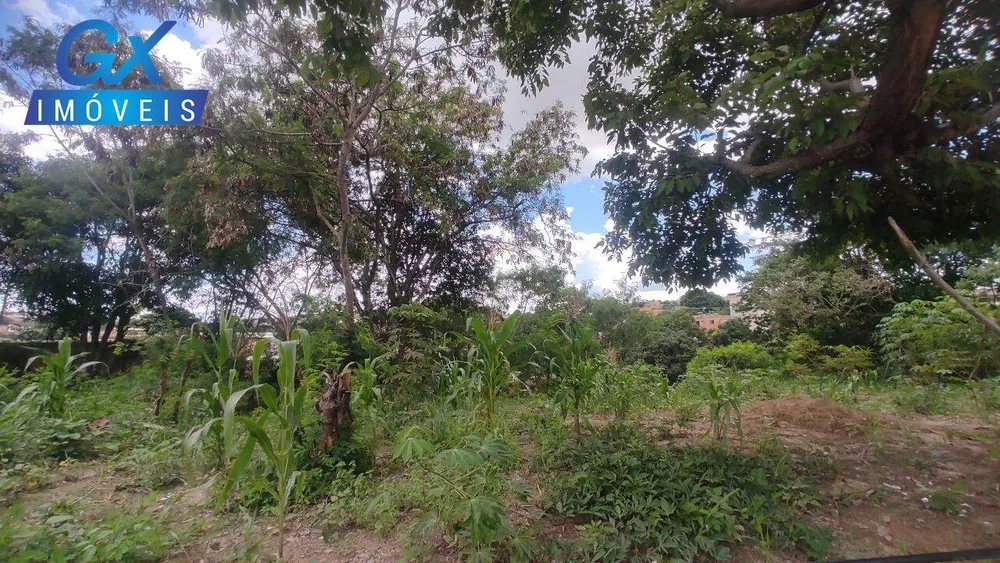 Terreno, 527 m² - Foto 7
