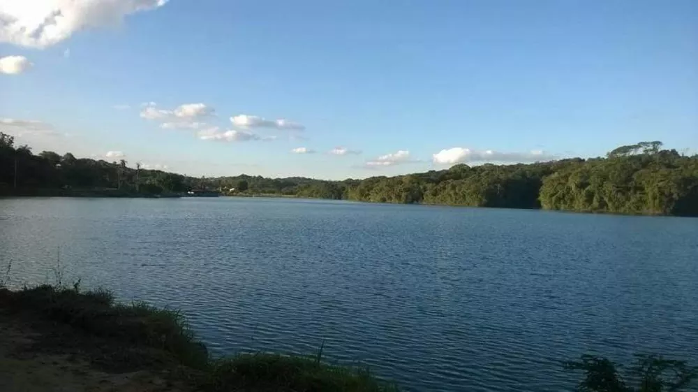 Fazenda à venda com 4 quartos, 3000m² - Foto 2