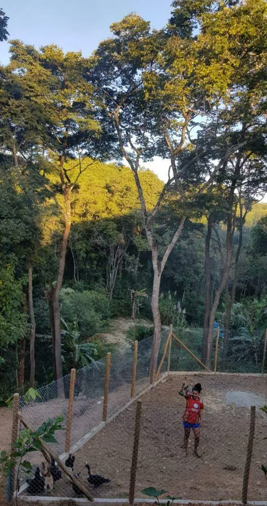 Sítio, 4 quartos, 3000 m² - Foto 12