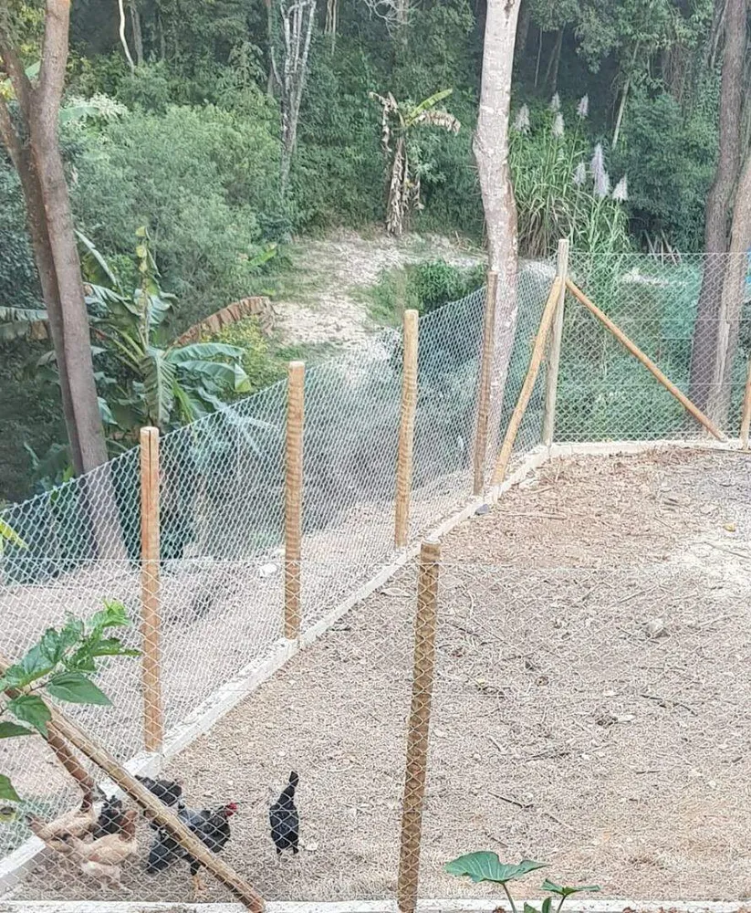 Sítio, 4 quartos, 3000 m² - Foto 14