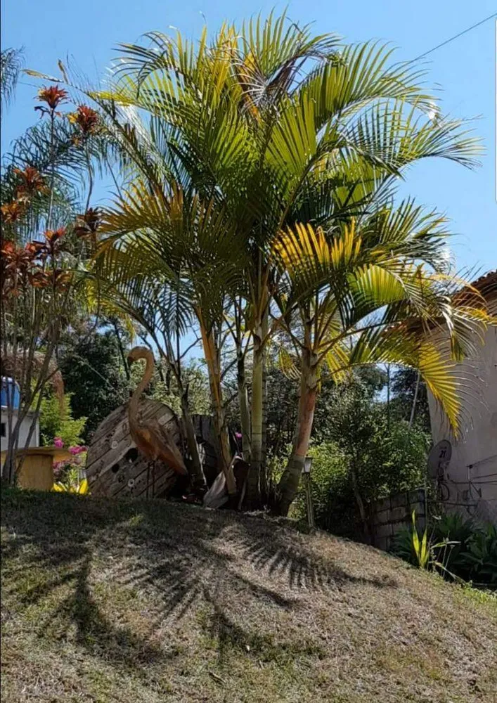 Sítio, 4 quartos, 3000 m² - Foto 13