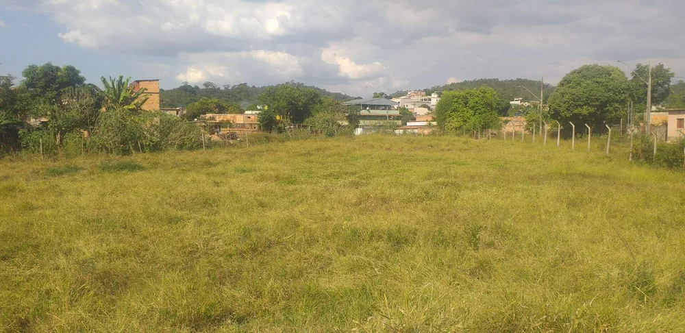 Terreno, 3 hectares - Foto 7