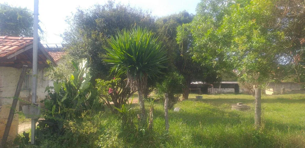 Terreno, 3 hectares - Foto 13