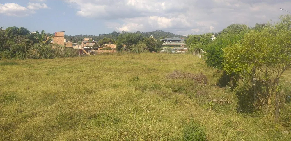 Terreno, 3 hectares - Foto 1