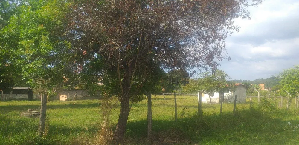 Terreno, 3 hectares - Foto 14