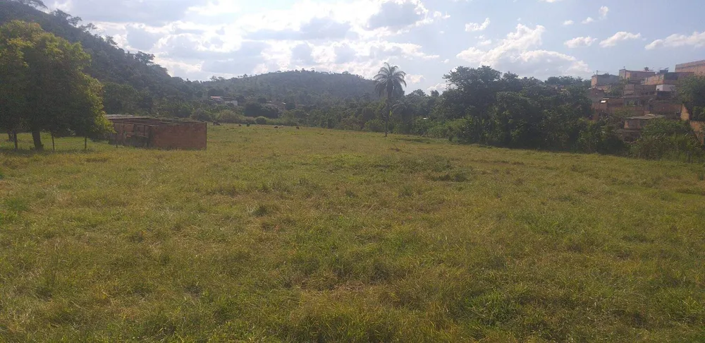 Terreno, 3 hectares - Foto 9