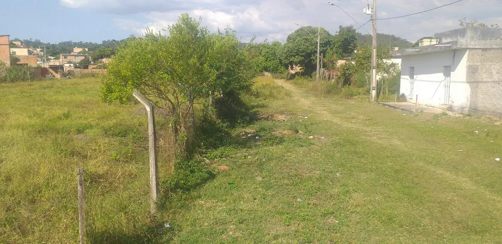 Terreno, 3 hectares - Foto 3