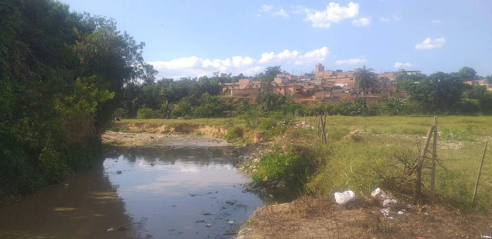 Terreno, 3 hectares - Foto 11