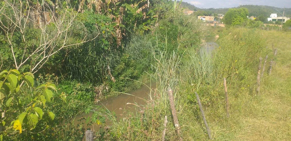 Terreno, 3 hectares - Foto 10