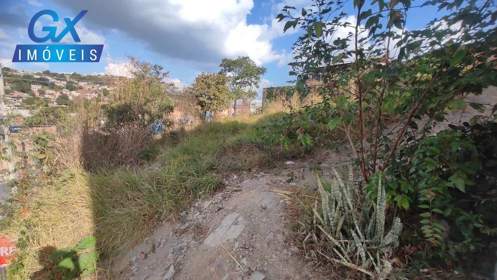 Terreno, 360 m² - Foto 9