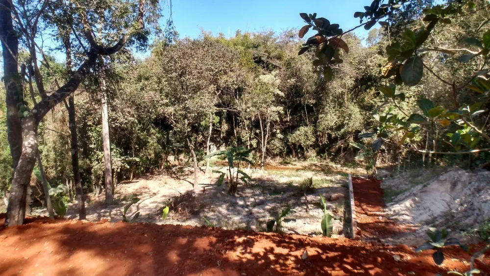 Chácara, 4 quartos, 2682 m² - Foto 9