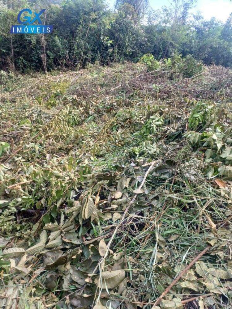 Terreno, 1097 m² - Foto 2