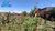 Terreno, 200 m² - Foto 3