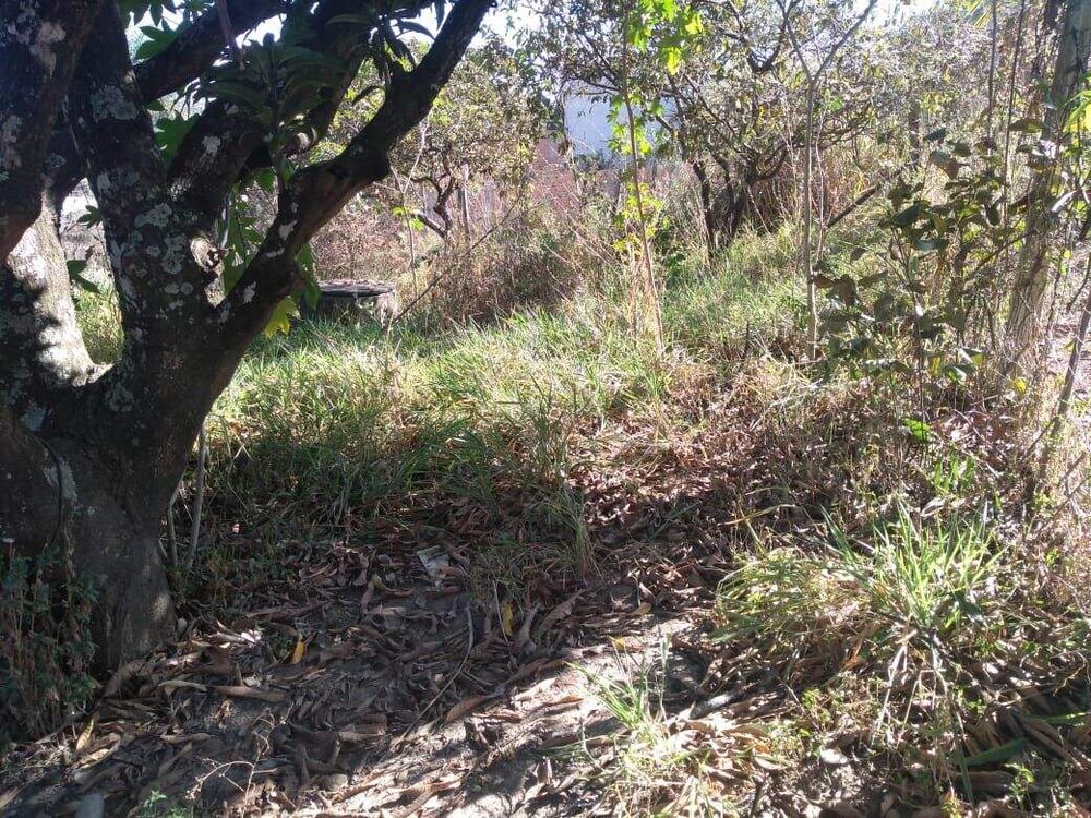 Terreno, 402 m² - Foto 1