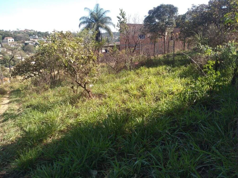 Terreno, 402 m² - Foto 12