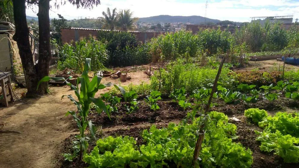 Terreno, 360 m² - Foto 1