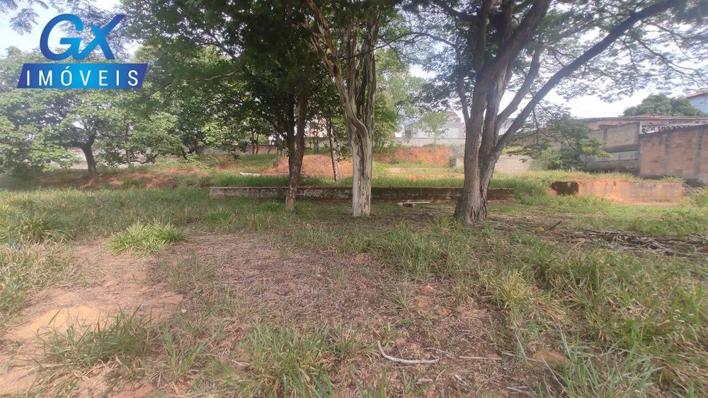 Terreno, 4000 m² - Foto 4