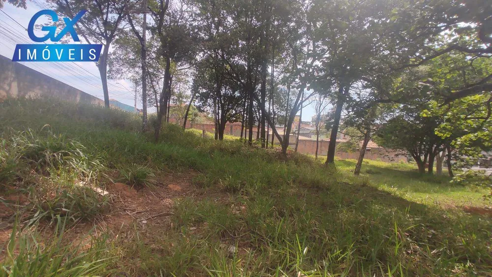 Terreno, 4000 m² - Foto 9