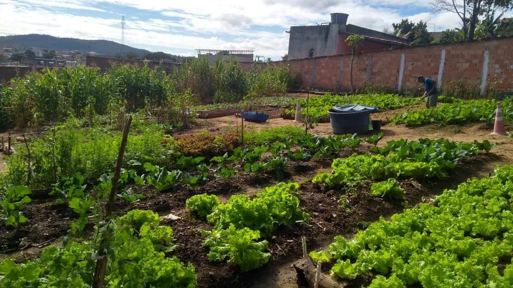 Terreno, 360 m² - Foto 7