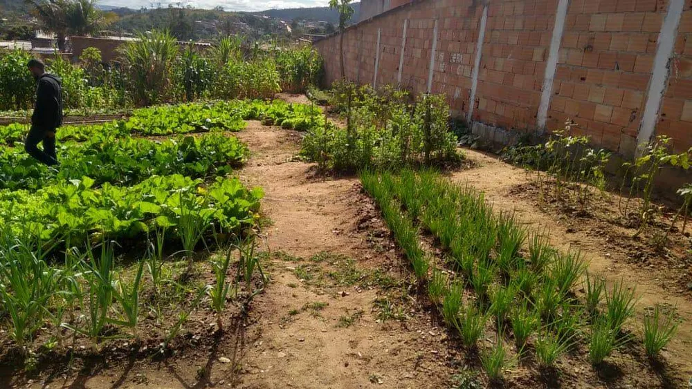 Terreno, 360 m² - Foto 4